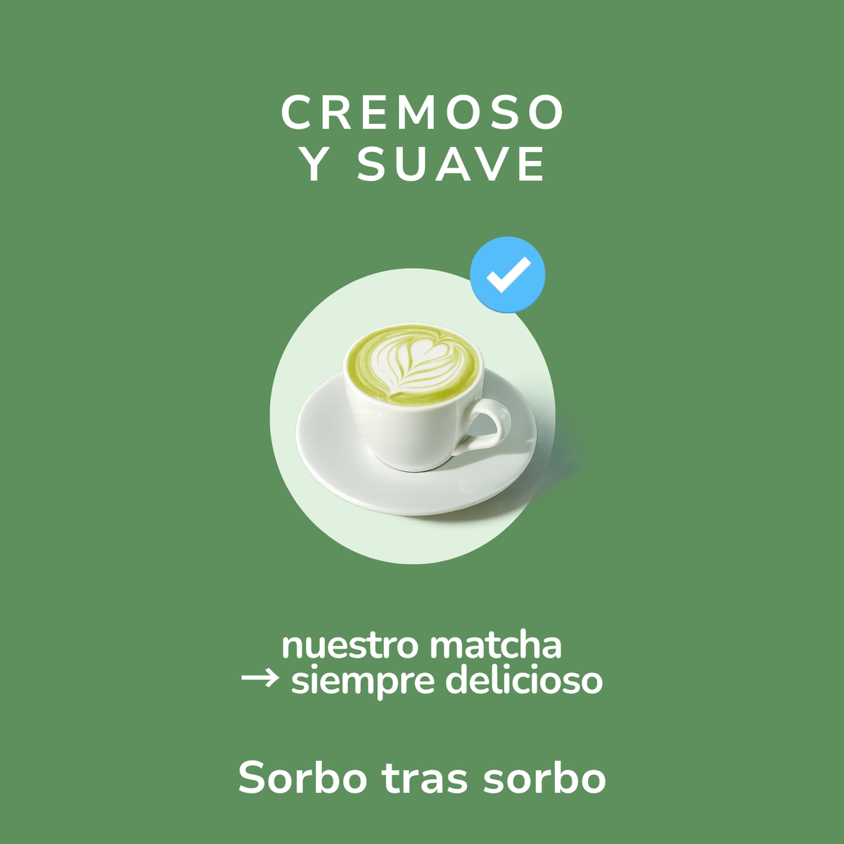 Un placer cremoso en cada taza